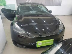 Tesla Model 3 Standard Range RWD Upgrade 3D6 - ფოტო 3