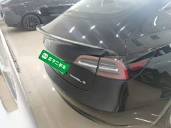 Tesla Model 3 Standard Range RWD Upgrade 3D6 - ფოტო 6