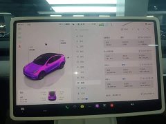 Tesla Model Y Rear-Wheel Drive - ფოტო 12