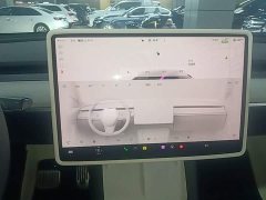 Tesla Model Y Rear-Wheel Drive - ფოტო 13