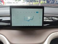 BYD Song Pro New Energy DM-i 71KM Glory Edition Leading - ფოტო 13