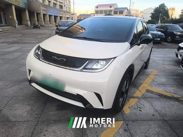 BYD Dolphin 420km Fashion Edition - ავტომობილი ჩინეთიდან