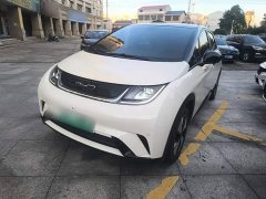 BYD Dolphin 420km Fashion Edition - ფოტო 2