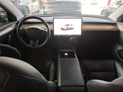 Tesla Model 3 2022 Rear-Wheel Drive - ფოტო 10