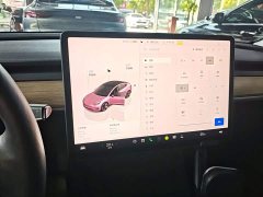 Tesla Model 3 2022 Rear-Wheel Drive - ფოტო 13