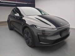 Tesla Model Y Rear-Wheel Drive - ფოტო 4