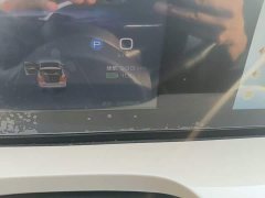 Wuling Binguo 2024 333km Joy Edition - ფოტო 12