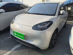 Wuling Binguo 2024 333km Joy Edition - ფოტო 2