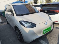 Wuling Binguo 2024 333km Joy Edition - ფოტო 4