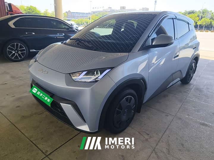 BYD Seagull 305km Vitality Edition - ავტომობილი ჩინეთიდან