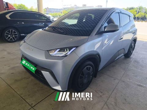 2025 BYD Seagull 305km Vitality Edition - ავტომობილი ჩინეთიდან