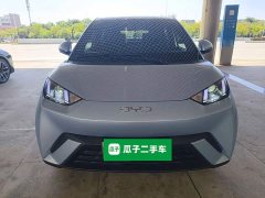 BYD Seagull 305km Vitality Edition - ფოტო 3