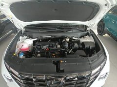 Hyundai Tucson L 1.5T Automatic Two-Wheel Drive DLX Luxury - ფოტო 20