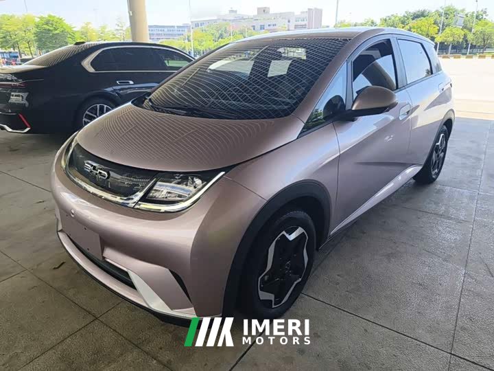 BYD Dolphin 420km Freedom Edition - ავტომობილი ჩინეთიდან