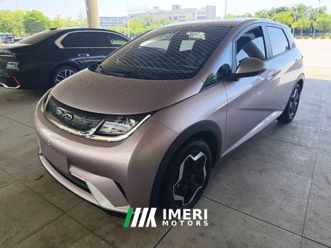 2023 BYD Dolphin 420km Freedom Edition - ავტომობილი ჩინეთიდან
