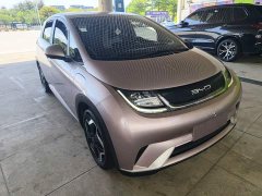 BYD Dolphin 420km Freedom Edition - ფოტო 4