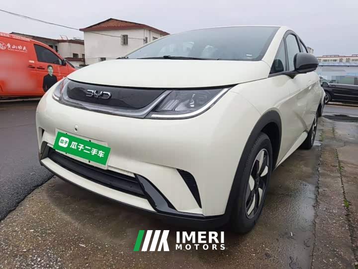 BYD Dolphin 2025 420km Freedom Edition - ავტომობილი ჩინეთიდან