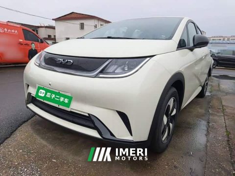 2026 BYD Dolphin 2025 420km Freedom Edition - ავტომობილი ჩინეთიდან