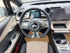 BYD Dolphin 2025 420km Freedom Edition - ფოტო 11