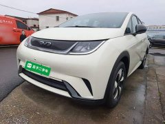 BYD Dolphin 2025 420km Freedom Edition - ფოტო 2