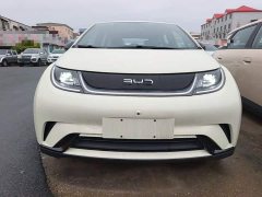 BYD Dolphin 2025 420km Freedom Edition - ფოტო 3