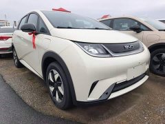 BYD Dolphin 2025 420km Freedom Edition - ფოტო 4