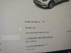 Tesla Model Y Rear-Wheel Drive - ფოტო 12