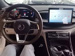 BYD Qin PLUS Glory Edition DM-i 55KM Leading - ფოტო 10