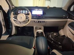 ORA Good Cat 400km Standard Range Athena Edition Ternary Lithium - ფოტო 10