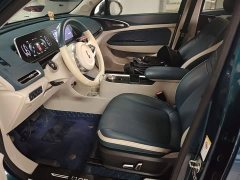 ORA Good Cat 400km Standard Range Athena Edition Ternary Lithium - ფოტო 15