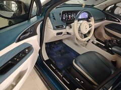 ORA Good Cat 400km Standard Range Athena Edition Ternary Lithium - ფოტო 16