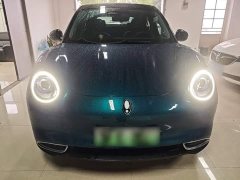 ORA Good Cat 400km Standard Range Athena Edition Ternary Lithium - ფოტო 3