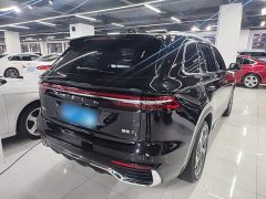 Geely Xingyue L 2.0TD DCT EVO FWD Long Wind Edition - ფოტო 6
