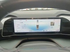 Geely Boyue 1.5TD Longteng Edition - ფოტო 12