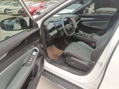 Geely Boyue 1.5TD Longteng Edition - ფოტო 16