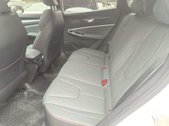 Geely Boyue 1.5TD Longteng Edition - ფოტო 17
