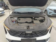 Geely Boyue 1.5TD Longteng Edition - ფოტო 20