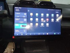 Dongfeng Fengshen L7 205 Plus - ფოტო 13