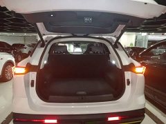 Jetour Jietu Dasheng 1.5T DCT Transcend Edition - ფოტო 19