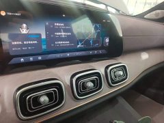 Chery Tiggo 9 2.0T DCT FWD Luxury 5-Seater - ფოტო 13