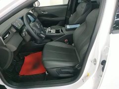 BYD Qin PLUS DM-i Smart Drive Edition 55KM Leading - ფოტო 15