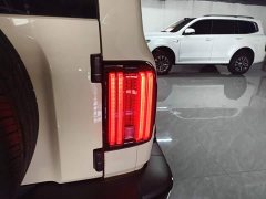 Tank 300 New Energy Hi4-T 37.1kWh - ფოტო 8