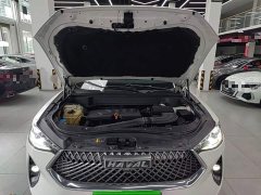 Haval F7 1.5T Two-Wheel Drive i - ფოტო 20