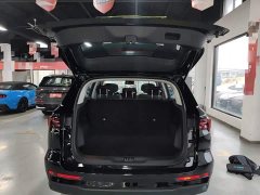 Ford Lingrui EcoBoost 170 Platinum Edition - ფოტო 19