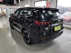 Ford Lingrui EcoBoost 170 Platinum Edition - ფოტო 5