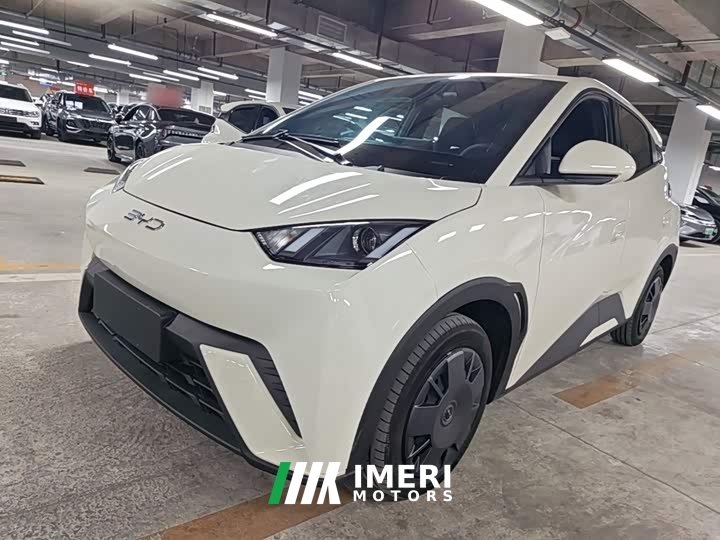 BYD Seagull Glory Edition 305km Vitality Version - ავტომობილი ჩინეთიდან