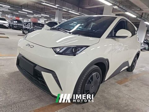 2024 BYD Seagull Glory Edition 305km Vitality Version - ავტომობილი ჩინეთიდან
