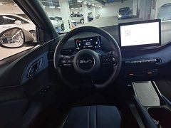 BYD Seagull Glory Edition 305km Vitality Version - ფოტო 11