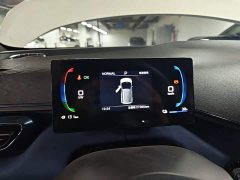 BYD Seagull Glory Edition 305km Vitality Version - ფოტო 12