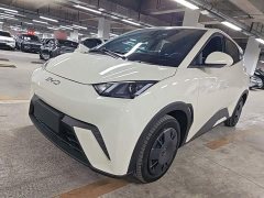 BYD Seagull Glory Edition 305km Vitality Version - ფოტო 2